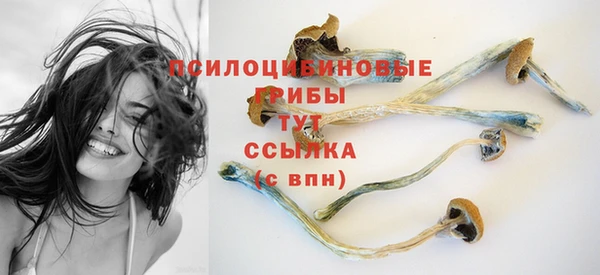 mix Аркадак
