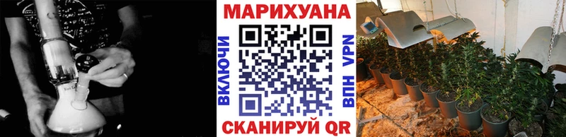 купить цена Майкоп Бошки Шишки сатива